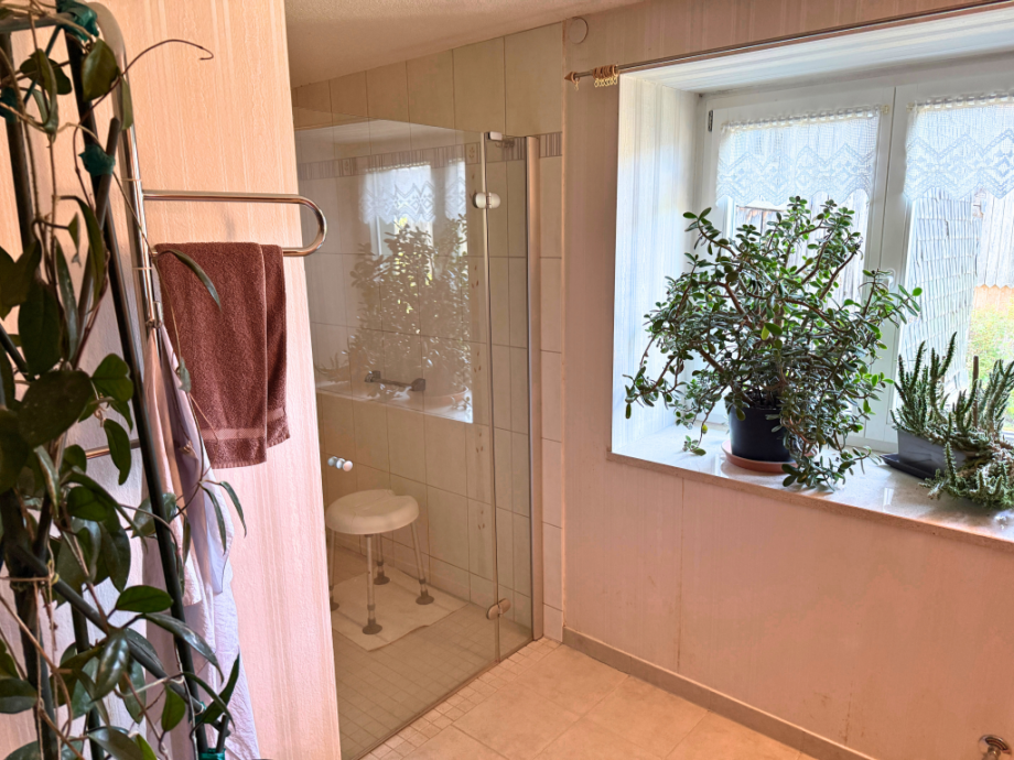 Bad mit Dusche EG Einfamilienhaus Remptendorf