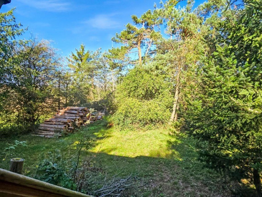 Au�enanlagen Ferienhaus Remptendorf