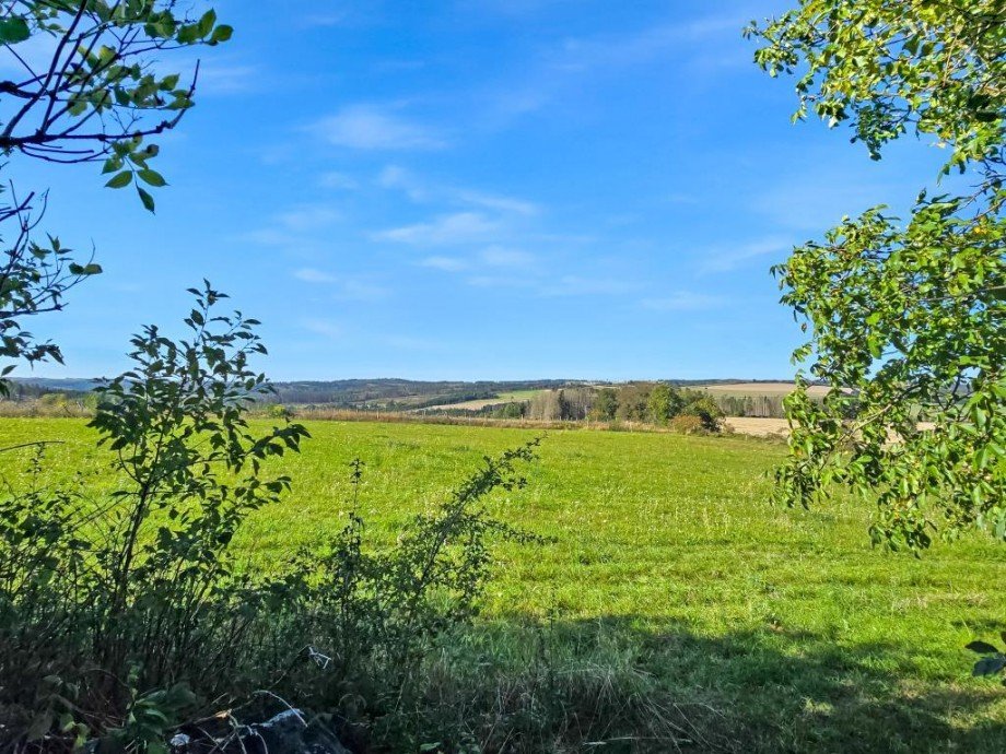 Weide mit Ausblick Ferienhaus Remptendorf