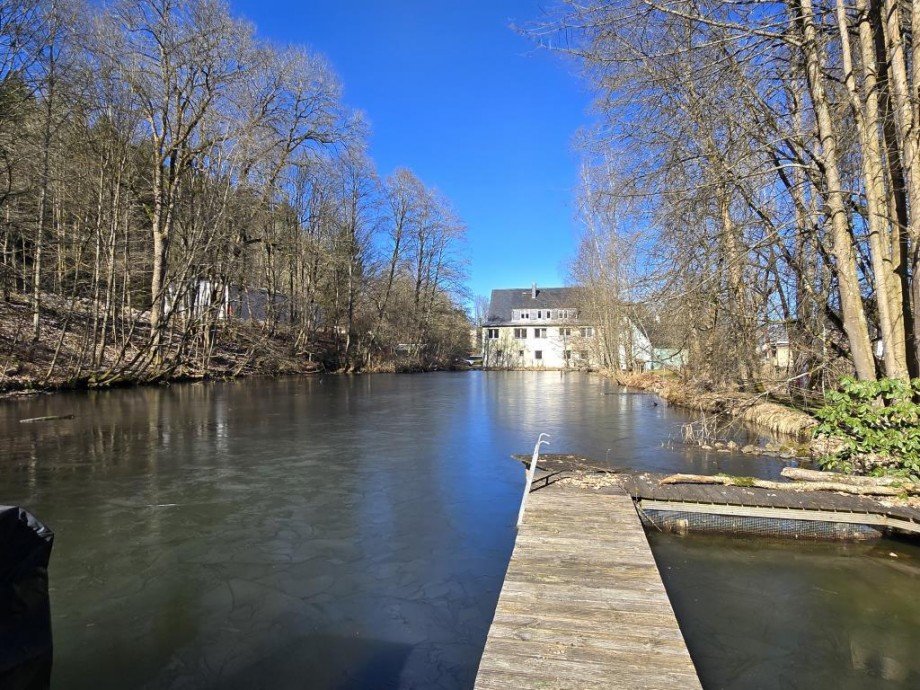 Teich Mehrfamilienhaus Wurzbach