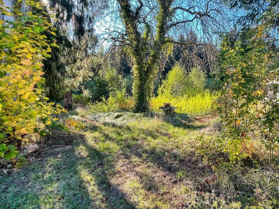 Garten Einfamilienhaus Schwarzenbach a d Saale
