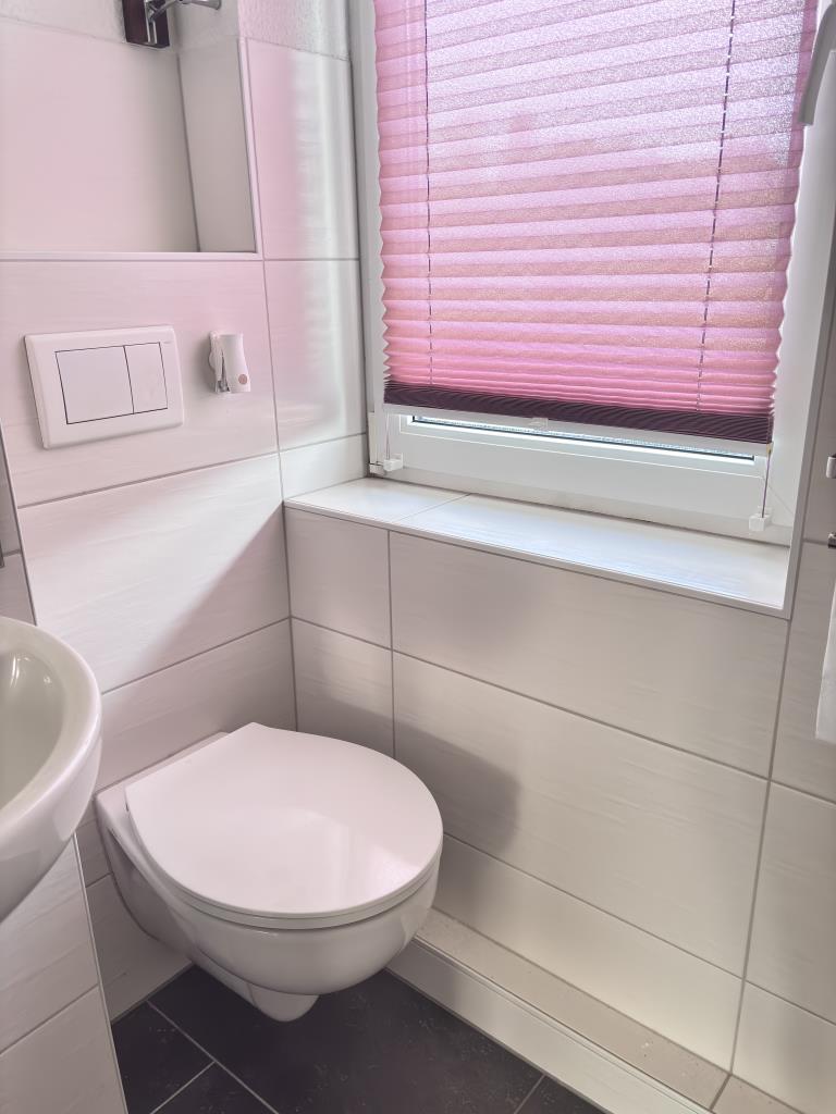 WC im Badezimmer Wohnung Rosenthal am Rennsteig