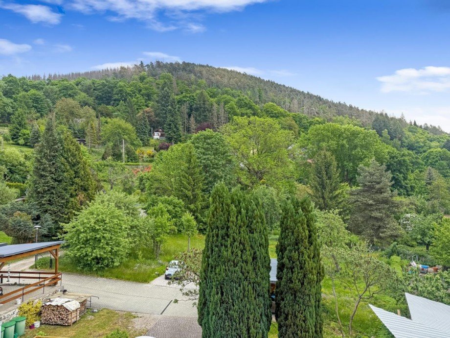 Aussicht vom Balkon Mehrfamilienhaus Leutenberg